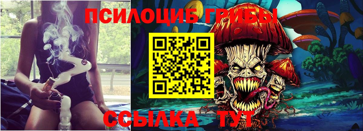 Южно-Сахалинск  Псилоцибиновые грибы прущие грибы  Псилоцибиновые грибы Psilocybe  Вход с VPN 